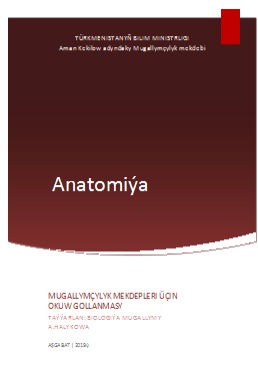 Anatomiýa